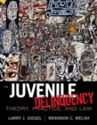 Image for Juvenile Delinquency : Theory, Practice, and Law