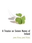 Image for A Treatise on Sixteen Names of Ireland