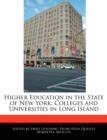 Image for Higher Education in the State of New York: Colleges and Universities in Long Island