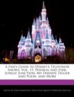 Image for A Fan&#39;s Guide to Disney&#39;s Television Shows, Vol. 11