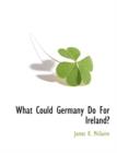 Image for What Could Germany Do for Ireland?