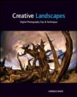 Image for Creative landscapes  : digital photography tips &amp; techniques