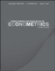 Image for Using EViews for Principles of Econometrics