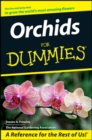 Image for Orchids for Dummies