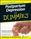 Image for Postpartum Depression for Dummies
