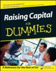 Image for Raising capital for dummies