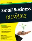 Image for Small Business For Dummies