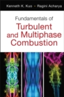 Image for Fundamentals of turbulent and multiphase combustion