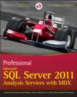 Image for Professional Microsoft SQL Server 2012 Analysis Services with MDX and Dax