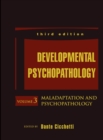 Image for Developmental psychopathologyVolume 3,: Risk, disorder, and adaptation