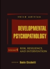 Image for Developmental Psychopathology, Risk, Resilience, and Intervention