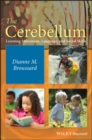 Image for The cerebellum  : language, movement, and attention