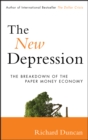 Image for The new depression: the breakdown of the paper money economy