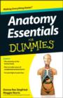 Image for Anatomy Essentials For Dummies