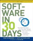 Image for Software in 30 Days