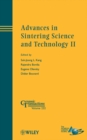 Image for Advances in Sintering Science and Technology II