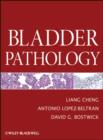 Image for Bladder Pathology