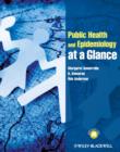 Image for Public health and epidemiology at a glance