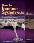 Image for How the immune system works