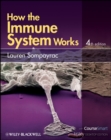 Image for How the Immune System Works