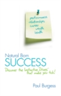 Image for Natural Born Success: Discover the Instinctive Drives That Make You Tick!