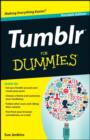 Image for Tumblr for dummies