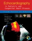 Image for Echocardiography in pediatric and congenital heart disease: from fetus to adult