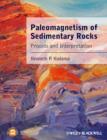 Image for Paleomagnetism of Sedimentary Rocks : Process and Interpretation