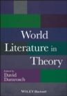 Image for World literature in theory