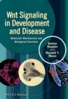 Image for Wnt signaling in development and disease  : molecular mechanisms and biological functions