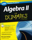 Image for 1001 algebra II practice problems for dummies