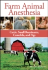 Image for Farm animal anesthesia  : cattle, small ruminants, camelids, and pigs