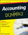 Image for Accounting For Dummies