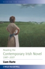 Image for Reading the contemporary Irish novel, 1987-2007