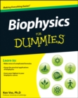 Image for Biophysics for dummies