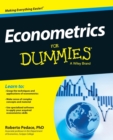 Image for Econometrics for dummies