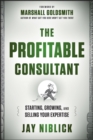 Image for The profitable consultant: a blueprint to start, grow, and sell your expertise