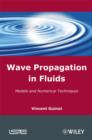Image for Wave propagation in fluids: models and numerical techniques