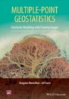 Image for Multiple-point geostatistics  : stochastic modeling with training images