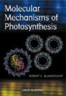 Image for Molecular mechanisms of photosynthesis