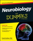 Image for Neurobiology For Dummies