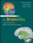 Image for The brain atlas: a visual guide to the human central nervous system.