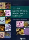 Image for Avian and exotic animal hematology and cytology