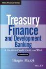Image for Treasury finance and development banking: a guide to credit, debt, and risk