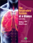 Image for The respiratory system at a glance.