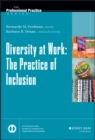 Image for Diversity at Work - The Practice of Inclusion