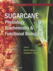 Image for Sugarcane: physiology, biochemistry &amp; functional biology
