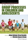Image for The Wiley handbook of group processes in children and adolescents