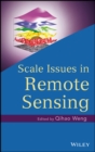 Image for Scale Issues in Remote Sensing