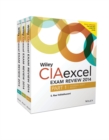 Image for Wiley CIAexcel exam review 2014